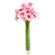 pink gerberas in a vase. Sharjah